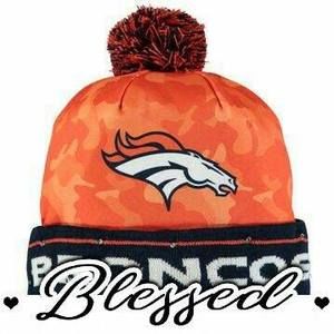 Meet your Posher, Dino